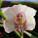 Test Post 2 gardening
