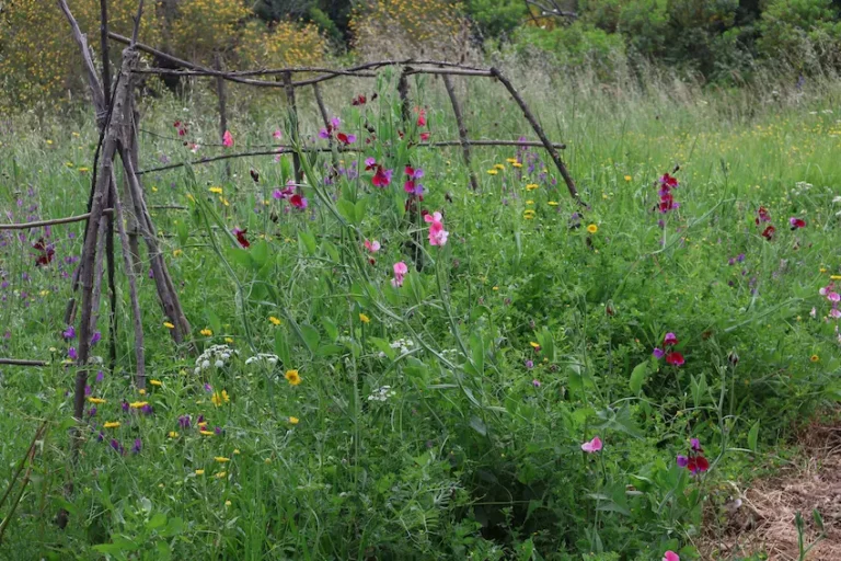 Test Post 2: Gardening