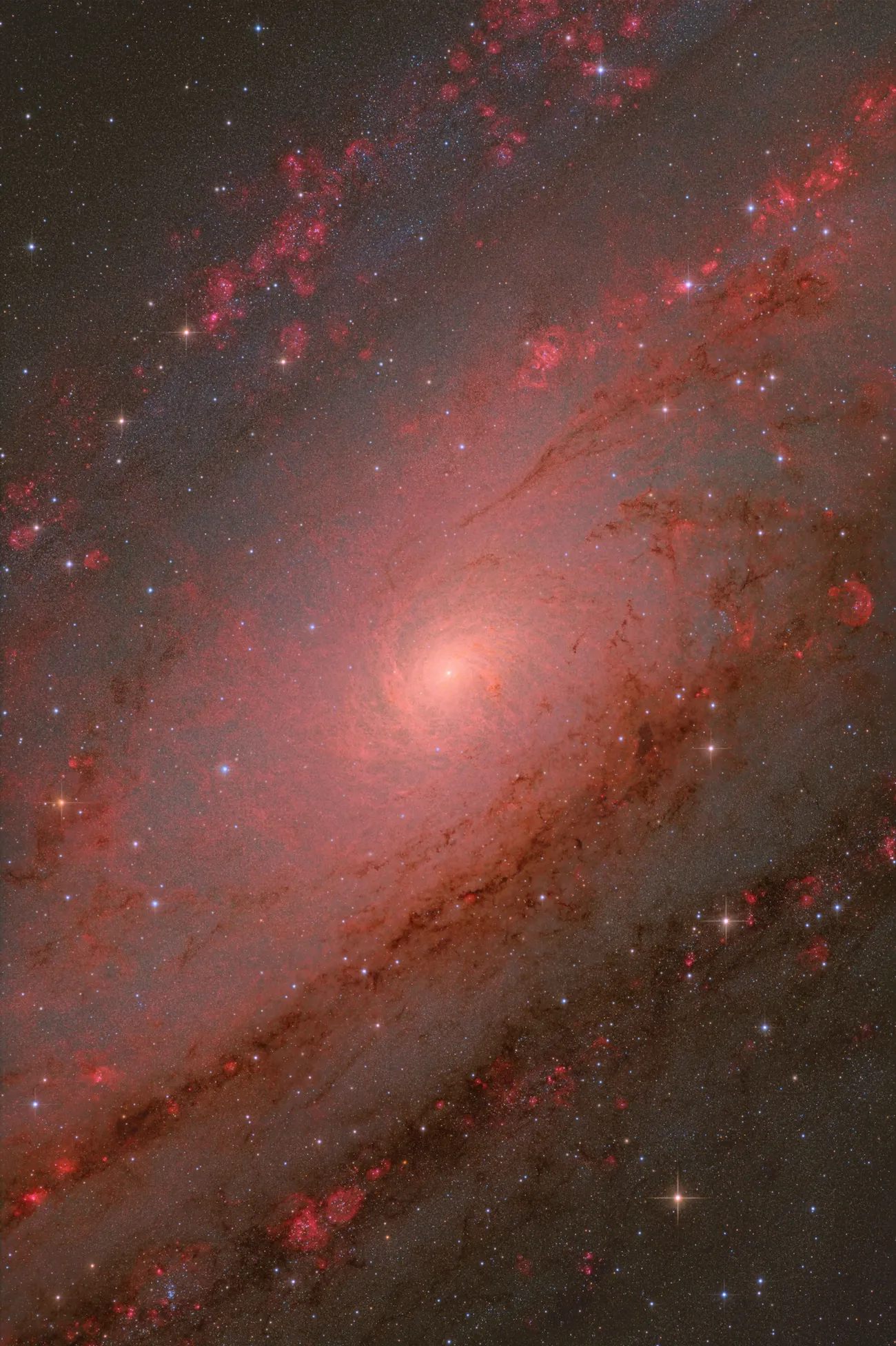 An image showing the bright glowing core of the Andromeda Galaxy in exceptional detail set against a dark starfilled background