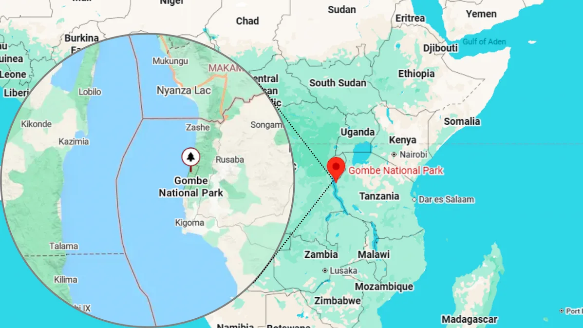 Map of Tanzania with an inset showing the location of Gombe National Park along Lake Tanganyika